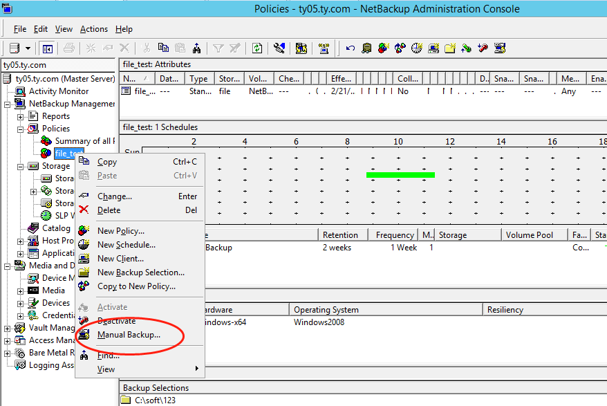 Manual Backup Initiation